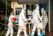 WHO xác nhận ca tử vong do nhiễm virus Nipah