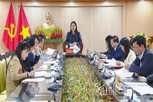 Ban Văn hóa - Xã hội thẩm tra dự thảo nghị quyết trình HĐND tỉnh