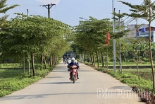 Dân vận khéo khơi sức dân làm đường giao thông