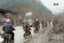 Sắc xuân từ đại ngàn