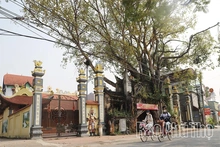 Độc đáo cổng đình Phú Hậu