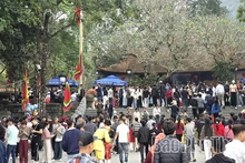 Tây Thiên: Hành trình chạm vào mây ngàn và cõi tịnh