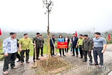 Nỗ lực vì một Việt Nam xanh