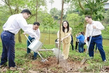 Toyota đồng hành cùng chương trình “Tết trồng cây đời đời nhớ ơn Bác Hồ”