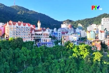 Phu Tho News on March 7, 2026