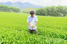 Đổi thay ở làng chè Đá Hen