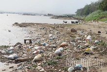 Cảnh báo tình trạng đổ chất thải bừa bãi ra sông Hồng