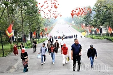 Proactive Preparations Underway for the 2026 Hung Kings' Commemoration