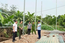 Xã Vĩnh Phú: Hỗ trợ các hộ dân tháo dỡ công trình vi phạm, kiên quyết xử lý, không để phát sinh mới