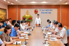 Đẩy nhanh lộ trình sáp nhập và mở rộng không gian phát triển Trường Đại học Hùng Vương