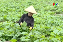 Đưa Nghị quyết Đại hội Đảng đi vào cuộc sống