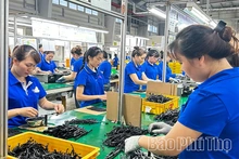 Quyết liệt triển khai Nghị quyết 01/NQ-CP, tạo đà tăng trưởng ngay từ quý I/2026