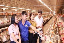 Giải quyết việc làm, đáp ứng nhu cầu thị trường lao động