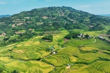 Xác định 15 tỉnh vùng dân tộc thiểu số, 12 tỉnh miền núi