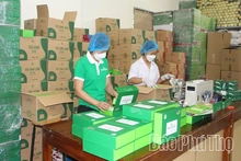 Tích cực chuẩn bị cho Hội chợ Hùng Vương năm 2026