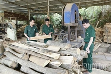 Chiến công trên “mặt trận mới” của CCB Đoan Hùng