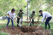 Giữ “lá phổi xanh” trong không gian linh thiêng