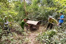 Tăng cường phòng, chống tội phạm về đa dạng sinh học