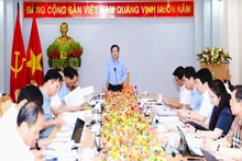 Ban Kinh tế - Ngân sách, HĐND tỉnh thẩm tra các nghị quyết về chuyển đổi rừng, thu hồi đất, hỗ trợ trồng rừng sản xuất