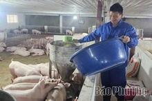 Điểm tựa vững chắc cho kinh tế nông thôn