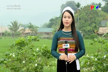Hấp dẫn điểm đến bản Lác - Mai Châu