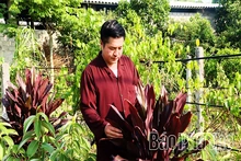 Giữ gìn tri thức y học dân gian của người Sán Dìu
