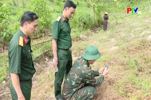 Xác định vị trí hài cốt liệt sỹ cần tìm kiếm, quy tập