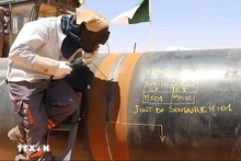 Ba nước châu Phi khởi động đường ống khí đốt xuyên Sahara