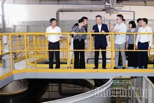 Industrial Development Associated with Environmental Protection