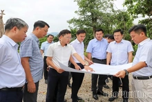 Accelerating Site Clearance: Social Housing Projects Must Not Face Delays