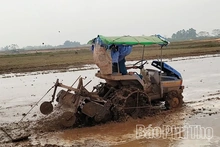 Thọ Văn vào vụ mới