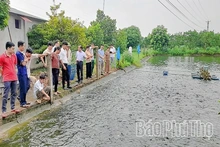Phát triển sản xuất thuỷ sản bền vững