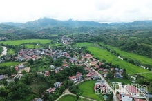 Lai Đồng trên hành trình khởi sắc