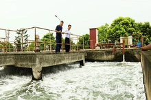 Xử lý nước thải tập trung - lá chắn cho môi trường