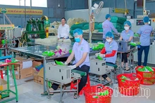 Nâng cao chất lượng sản phẩm OCOP gắn với bảo vệ môi trường