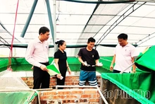 Mở lối cho người lầm lỡ