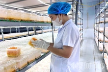 Đổi mới để vươn xa cùng OCOP