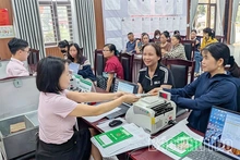 Phòng Giao dịch Ngân hàng Chính sách xã hội Tam Dương giải ngân gần 114 tỷ đồng vốn tín dụng chính sách