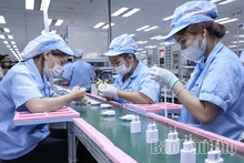 Doanh nghiệp Phú Thọ vượt rào cản để xuất khẩu