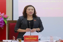 Khảo sát, góp ý dự án Luật Hòa giải ở cơ sở và Luật Nuôi con nuôi (sửa đổi)