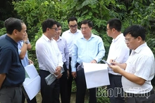 Chairman of the Provincial People’s Committee Tran Duy Dong Inspects Progress of Social Housing Projects in Viet Tri Urban Area
