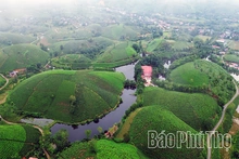 Long Cốc: Giấc mơ “hóa rồng” đang thành hiện thực