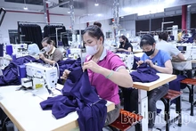 Giải quyết việc làm, tạo sinh kế bền vững cho người lao động