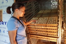 Thượng Long khơi dậy động lực phát triển kinh tế