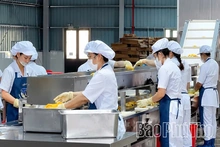 Xây dựng thương hiệu sản phẩm Phú Thọ: Chìa khóa chinh phục thị trường quốc tế
