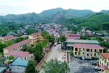Hơi thở mới trên vùng cao Xuân Đài
