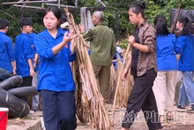 Xuân Đài kiên quyết dẹp lán trại trái phép tại bãi tắm Cỏi