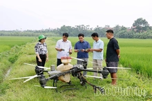 Hiền Quan lần đầu ứng dụng máy bay không người lái phun thuốc bảo vệ thực vật