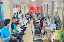 Minh Đài tạo nền móng cho phát triển bền vững