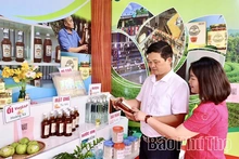 Ngọt thơm mật ong rừng Thanh Thủy